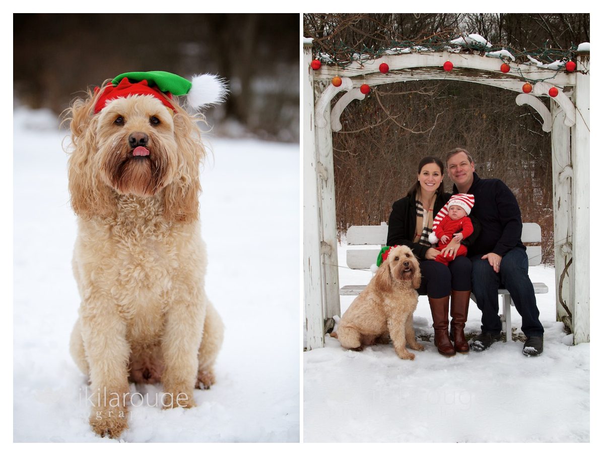 Holiday Family Portraits with Dog