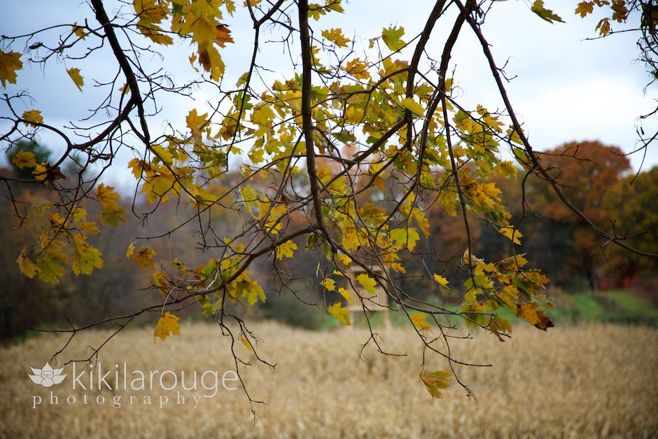 Fall Foliage at Smolak Farms