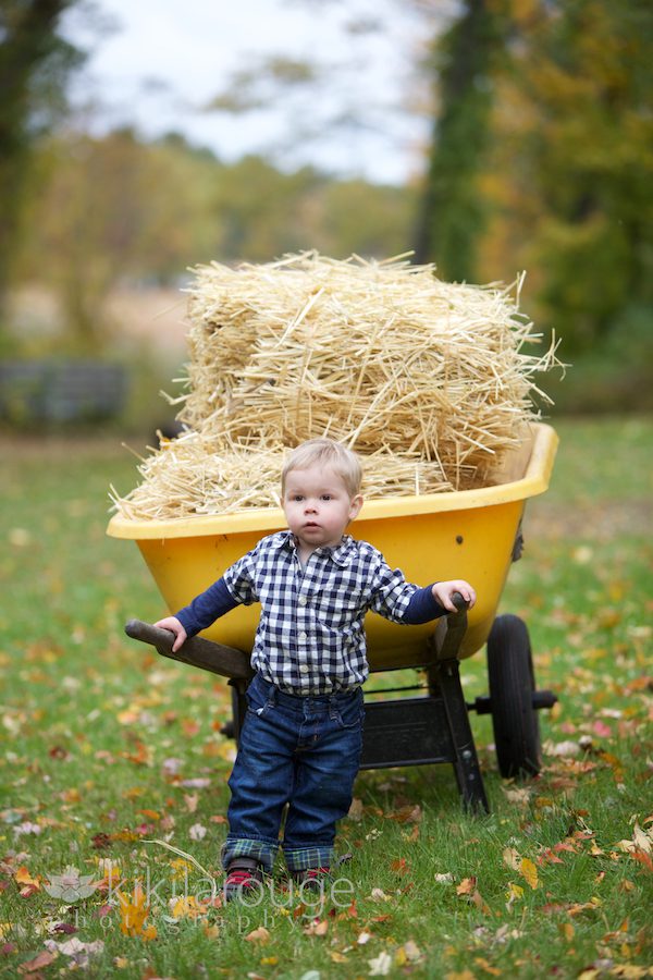 Boy with wheelbarrow full of hay