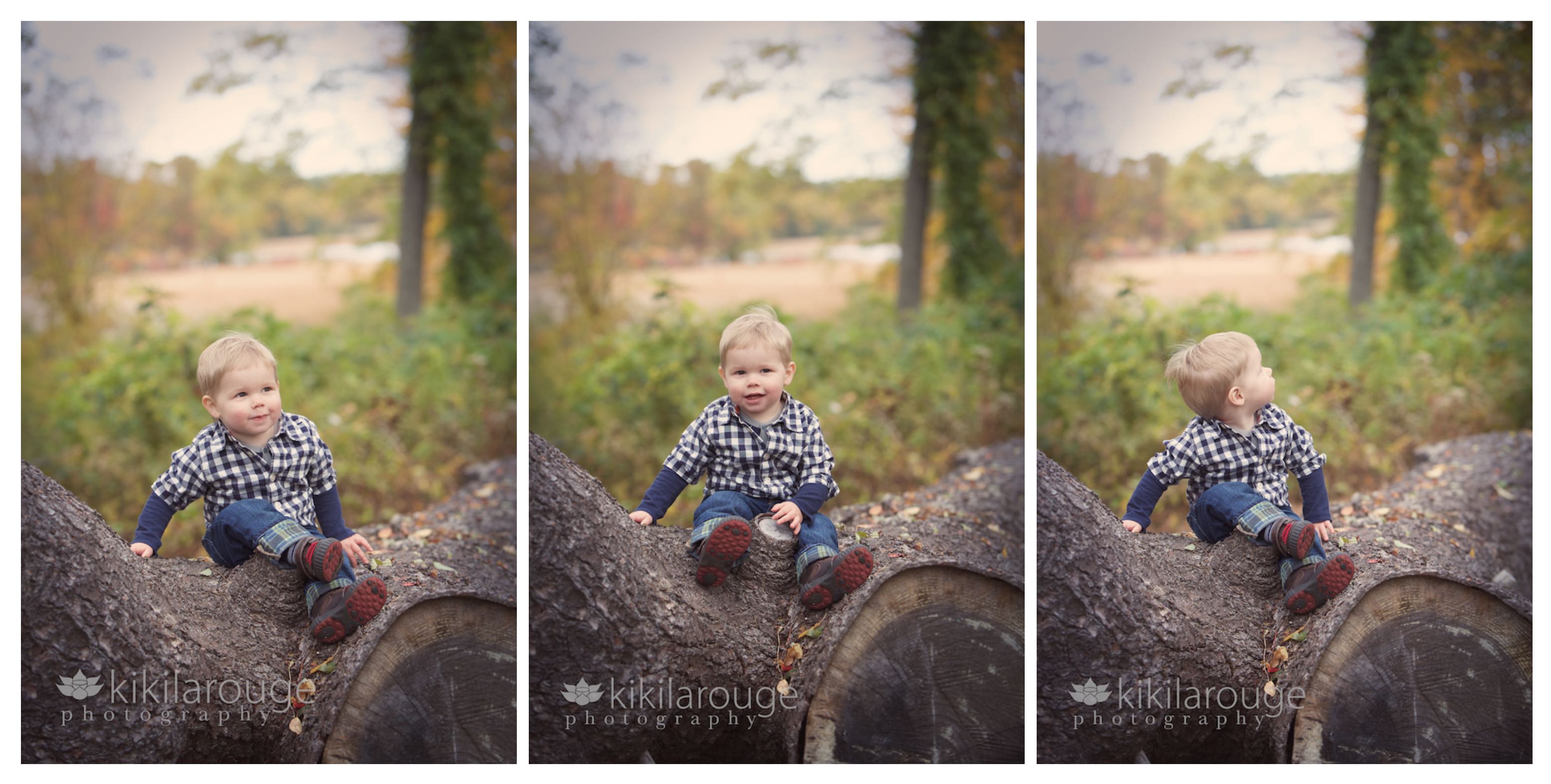 Triptych of Toddler on big log
