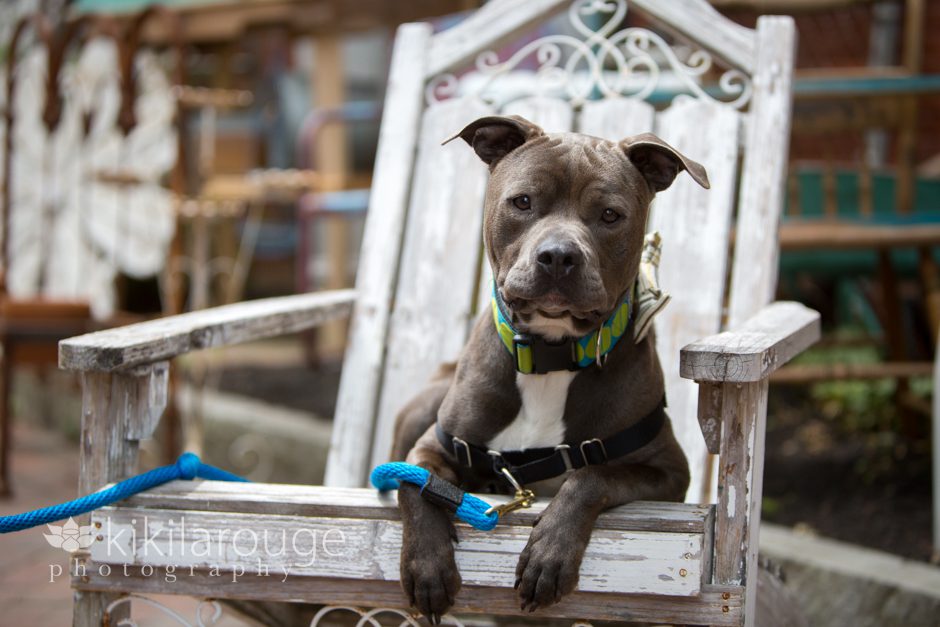 Rescue Pit in Wood Chair