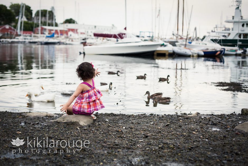 Little girl feeding ducks Camden Harbor