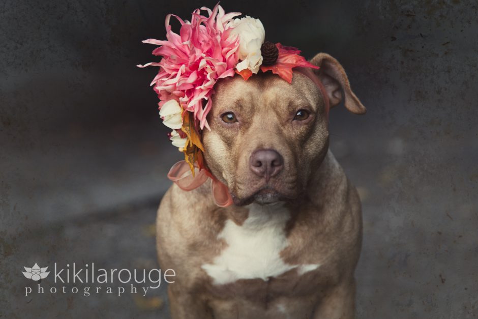 Rescue Pit with Autumn Floral Crown