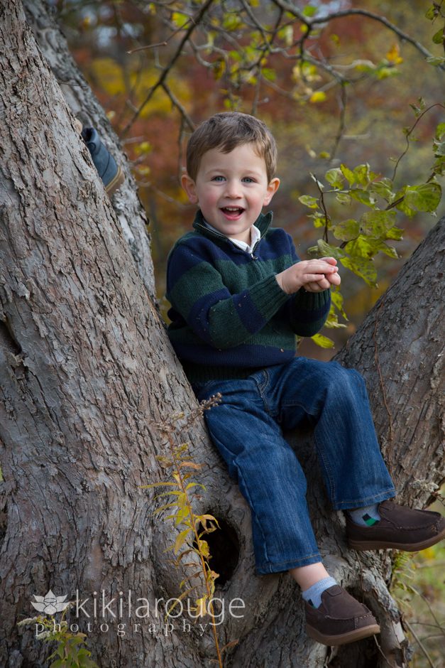 Little boy playing in tree