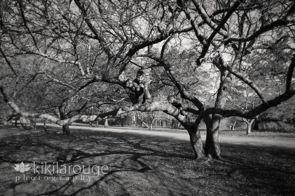 Boys in tree black and white