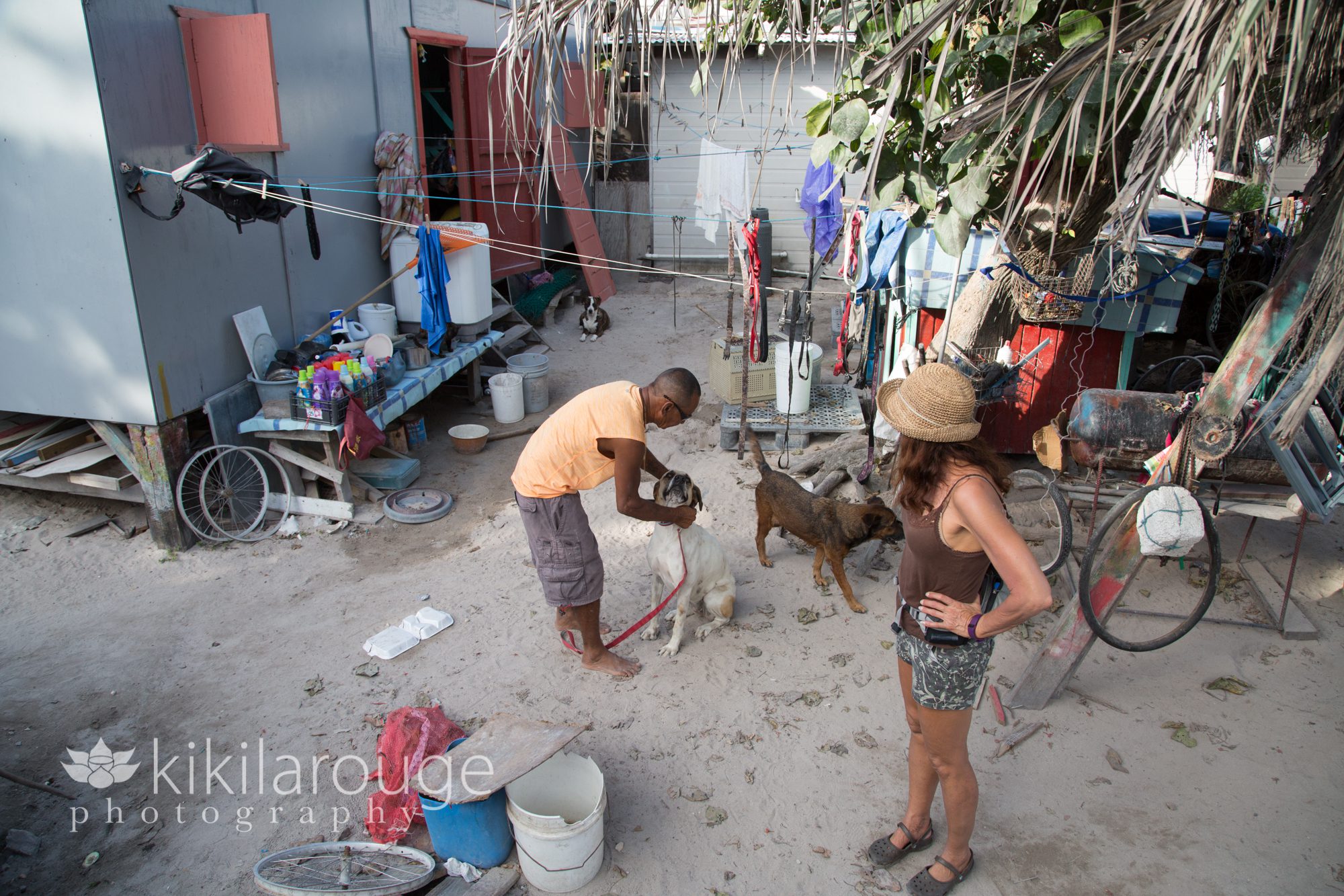 Animal Shelter in Caye Caulker Belize
