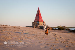 Dachshund dog airborne running at beach