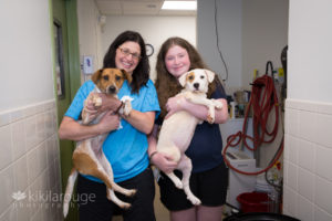 Mom and daughter with two rescue dogs in shelter