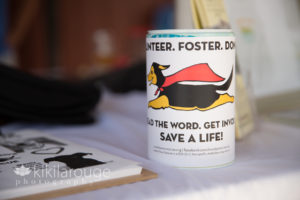 Donation can for sweet paws dog rescue
