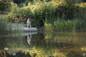 Dog on dock with field and reflection