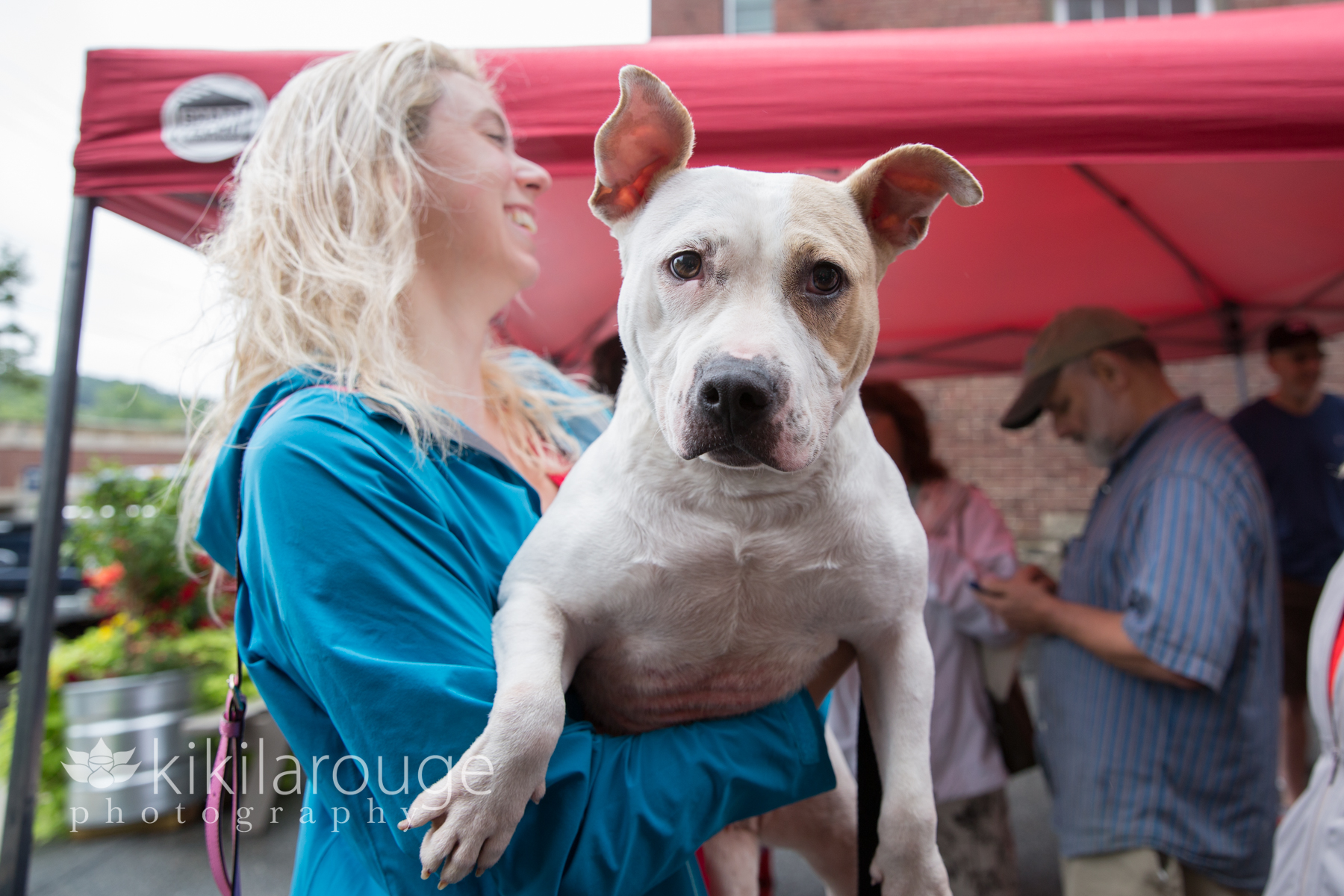 Pit mix rescue dog in arms of woman in blue jacket