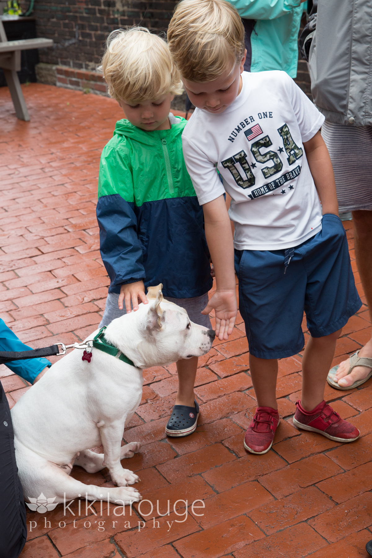 Two little blonde boys petting white pit bull