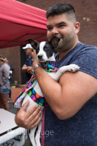 Little chihuahua mix puppy in arms of man