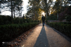 Young man walking in gardens into the sunset