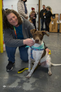 Foster Mom with GPS mix rescue dog