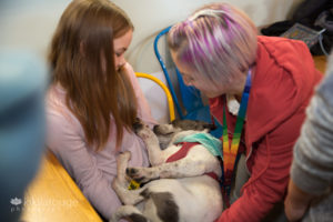 Sleeping rescue puppy with little girl and foster mom