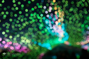 Out of focus colorful lights at Gardens Aglow Maine