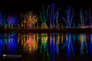 Garden Aglow lights with reflection in Maine