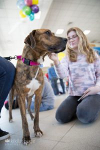 Brown brindle rescue dog with girl and balloons