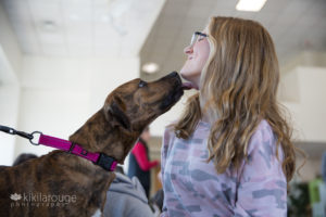 Brown brindle rescue dog licking young girl