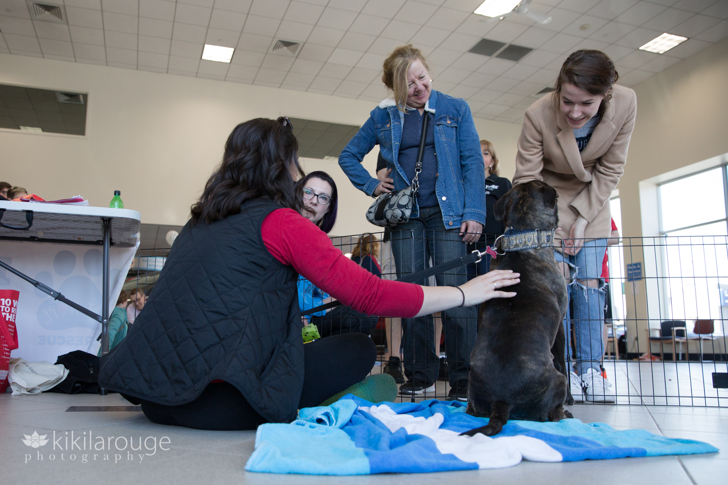 Rescue dog meeting potential adopters at Meet and Greet