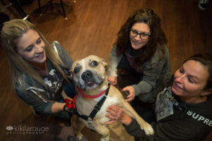 Rescue dog jumping up towards camera with three women sitting around her