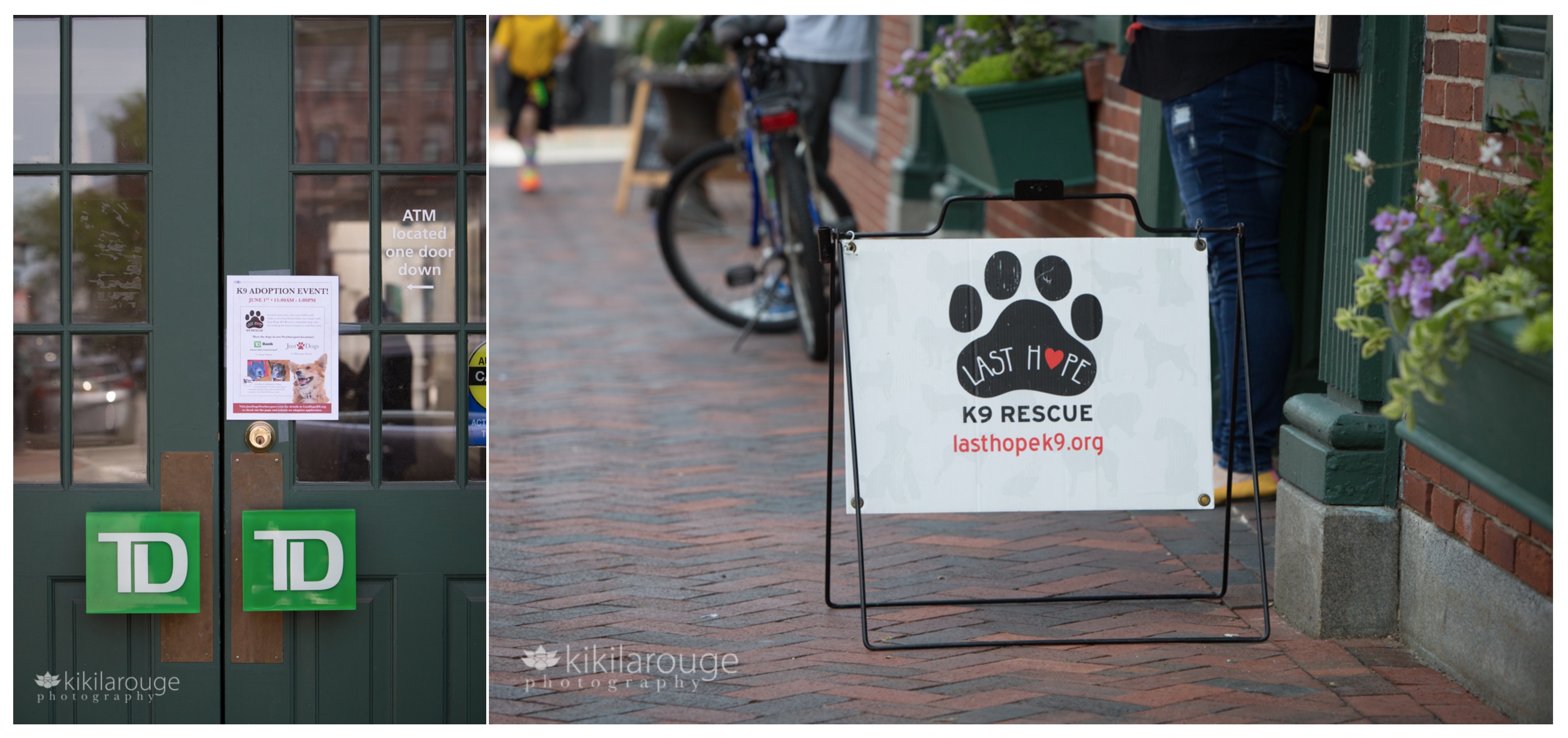 Signs for dog adoption event at TD Bank Newburyport