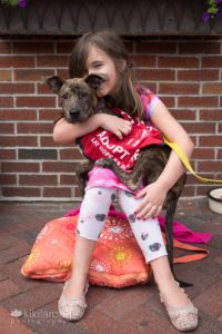 Brindle terrier puppy at dog adoption event with foster sister