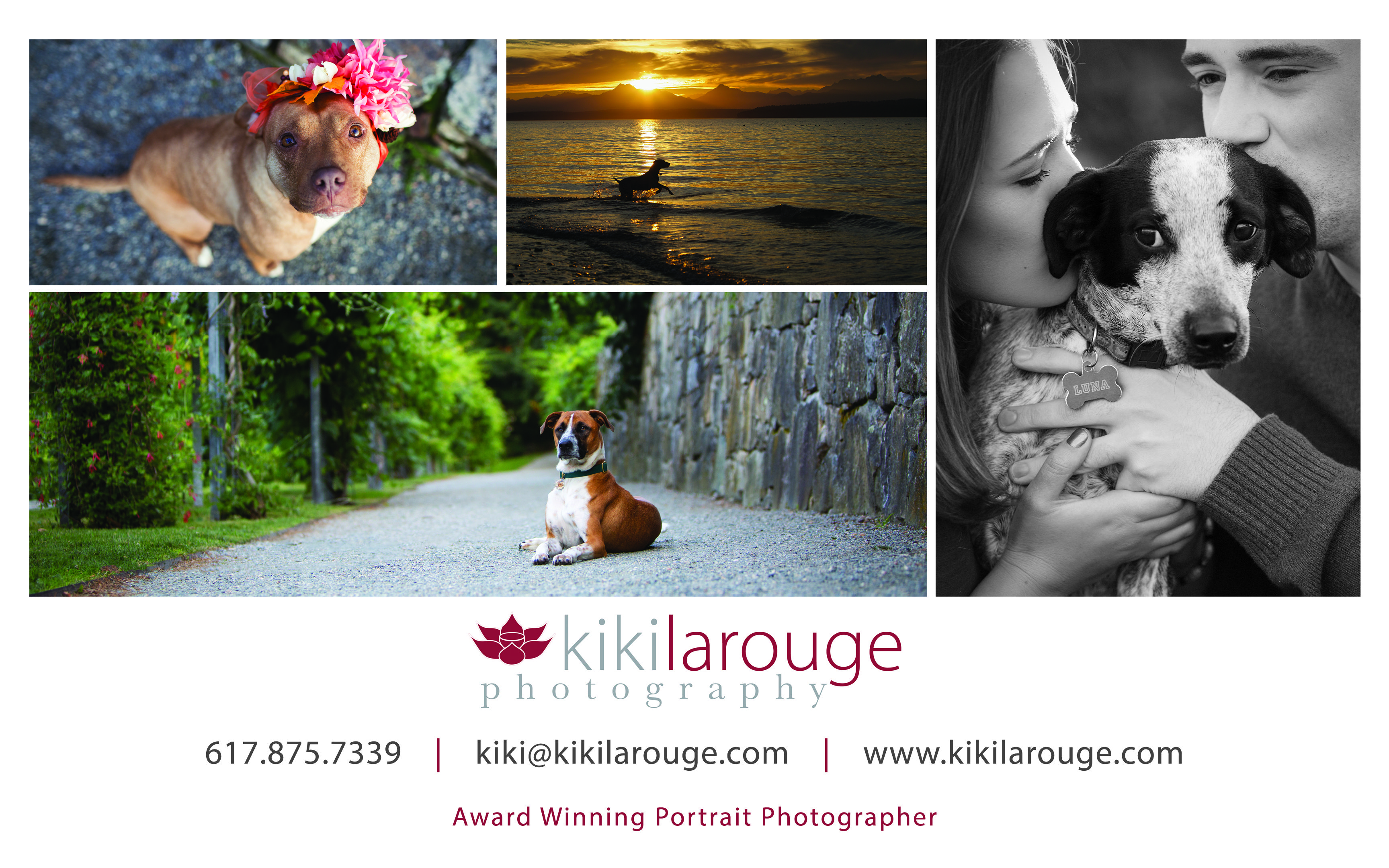 Banner of four dog portraits with Kiki Larouge photography information 