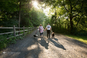 Couple walking away into the sunset with two dogs and long shadows