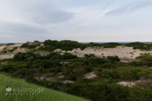 View of the Provincetown dunes and ocean