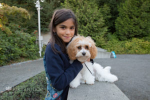 Little girl in blue with small dog sitting on wall