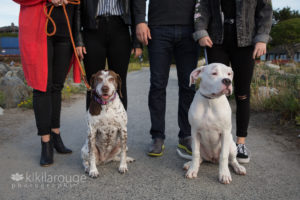 Two dogs at their family's feet