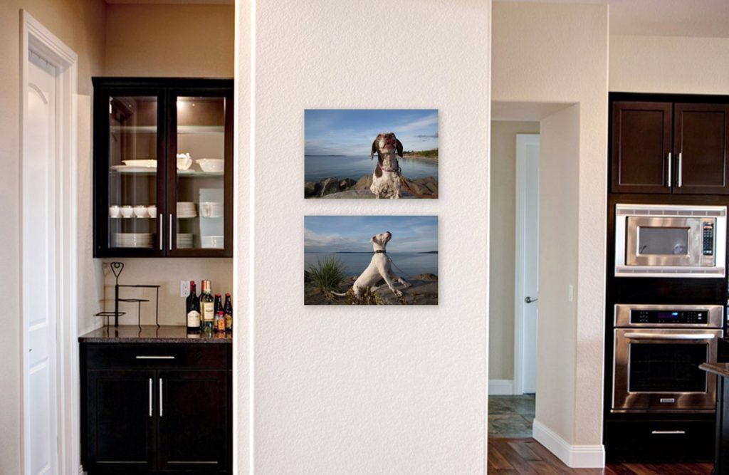 Two portraits of dogs on wall at beach