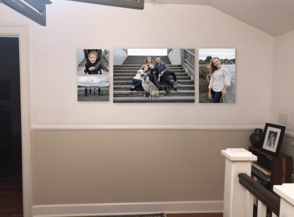 Wall showing a 4 piece canvas cluster of family portraits with dog