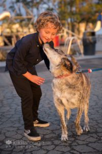 Dog kissing young boy at sunset