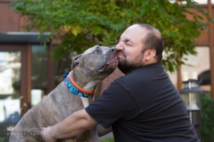 Grey brindle pittie mix kissing foster Dad in black tee shirt