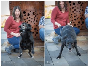 Two images of black dog excited and making funny faces