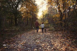 Couple walking into fall foliage sunset with two dogs