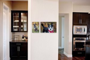 Portraits of two rescue dogs on wall