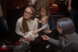 Little boy patting the head of a white pit bull puppy at dog event