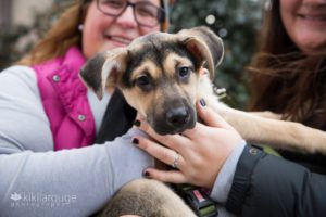 Close up portrait of adorable puppy with smiling new mom in background