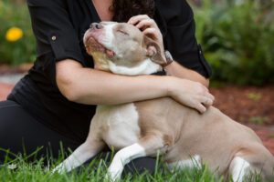 Woman snuggling rescue pit bull with eyes closed