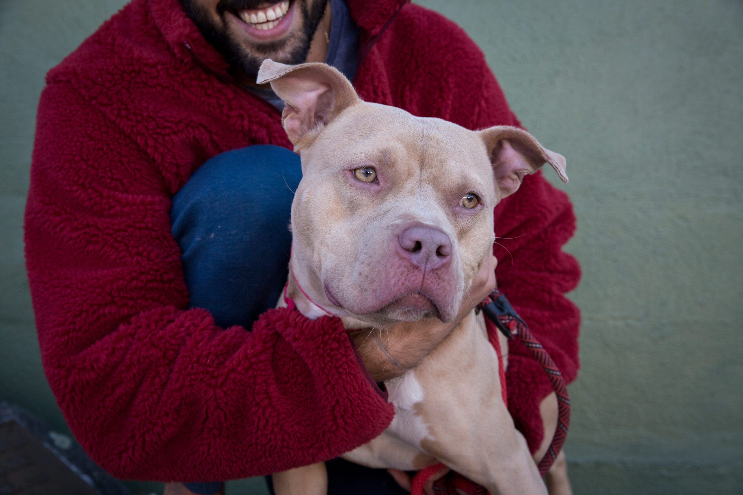 Man in red fleece hugging a pink pit rescue dog