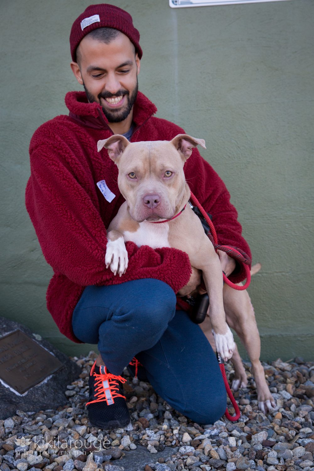 Cute pit bull looking at camera being held by man in red coat