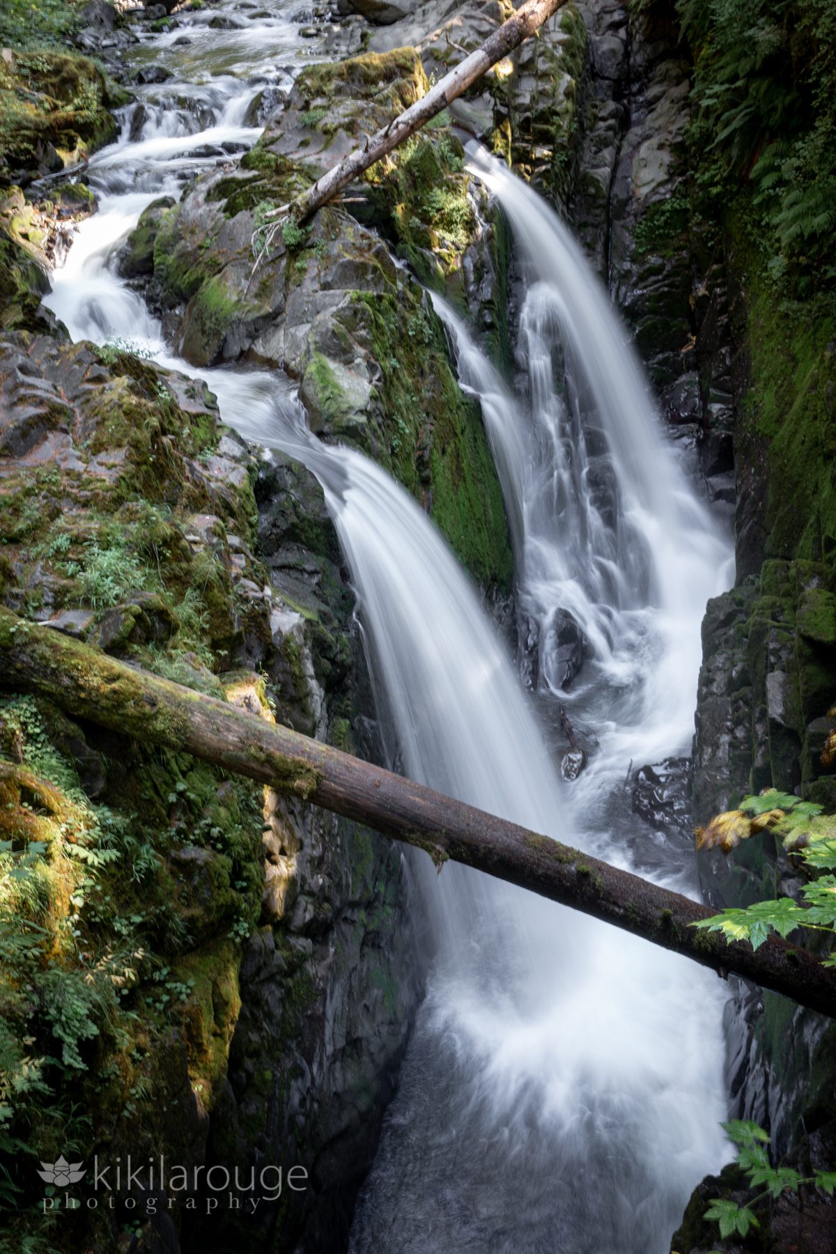 Twin waterfalls in Olympic National Park WA