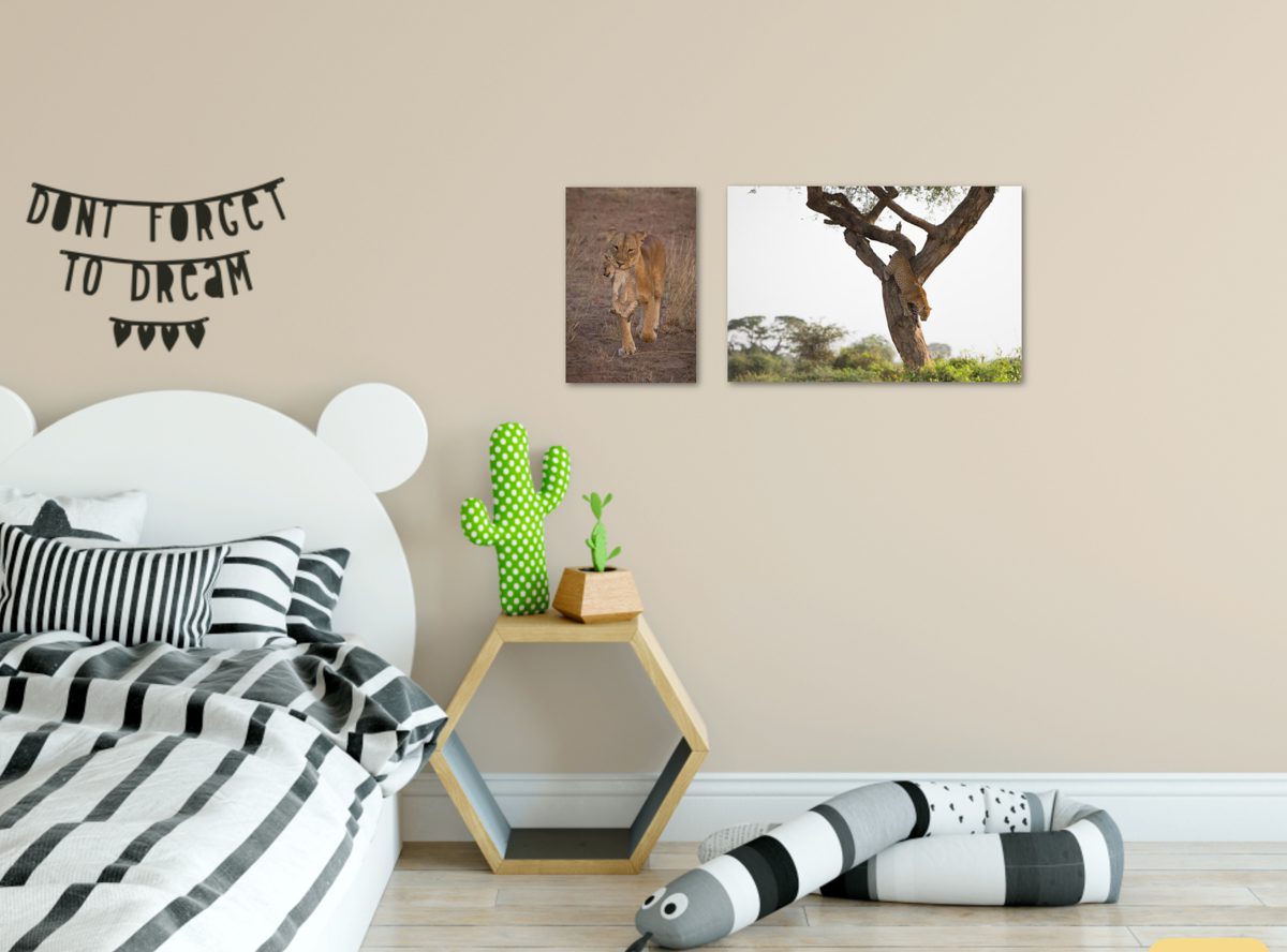 Two portraits of lion and leopard on kid's bedroom wall
