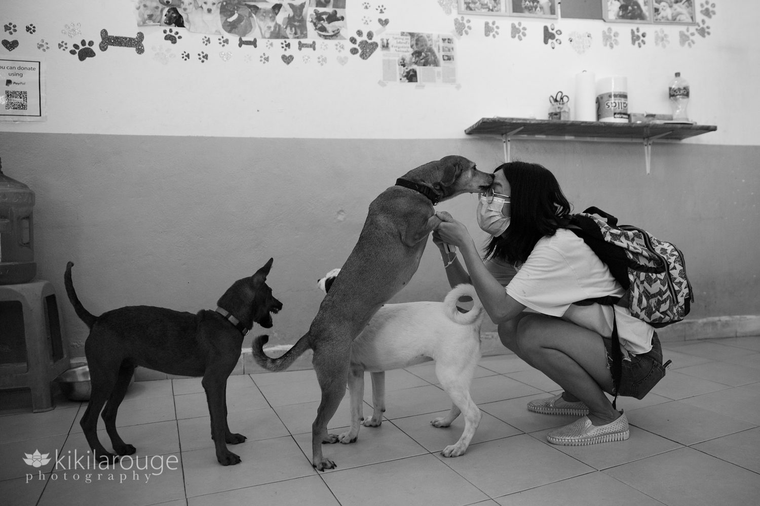 Woman with mask on at animal shelter playing with the puppies
