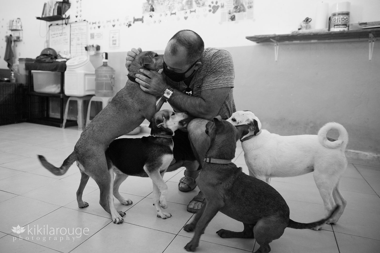 Man surrounded by four puppies at animal shelter