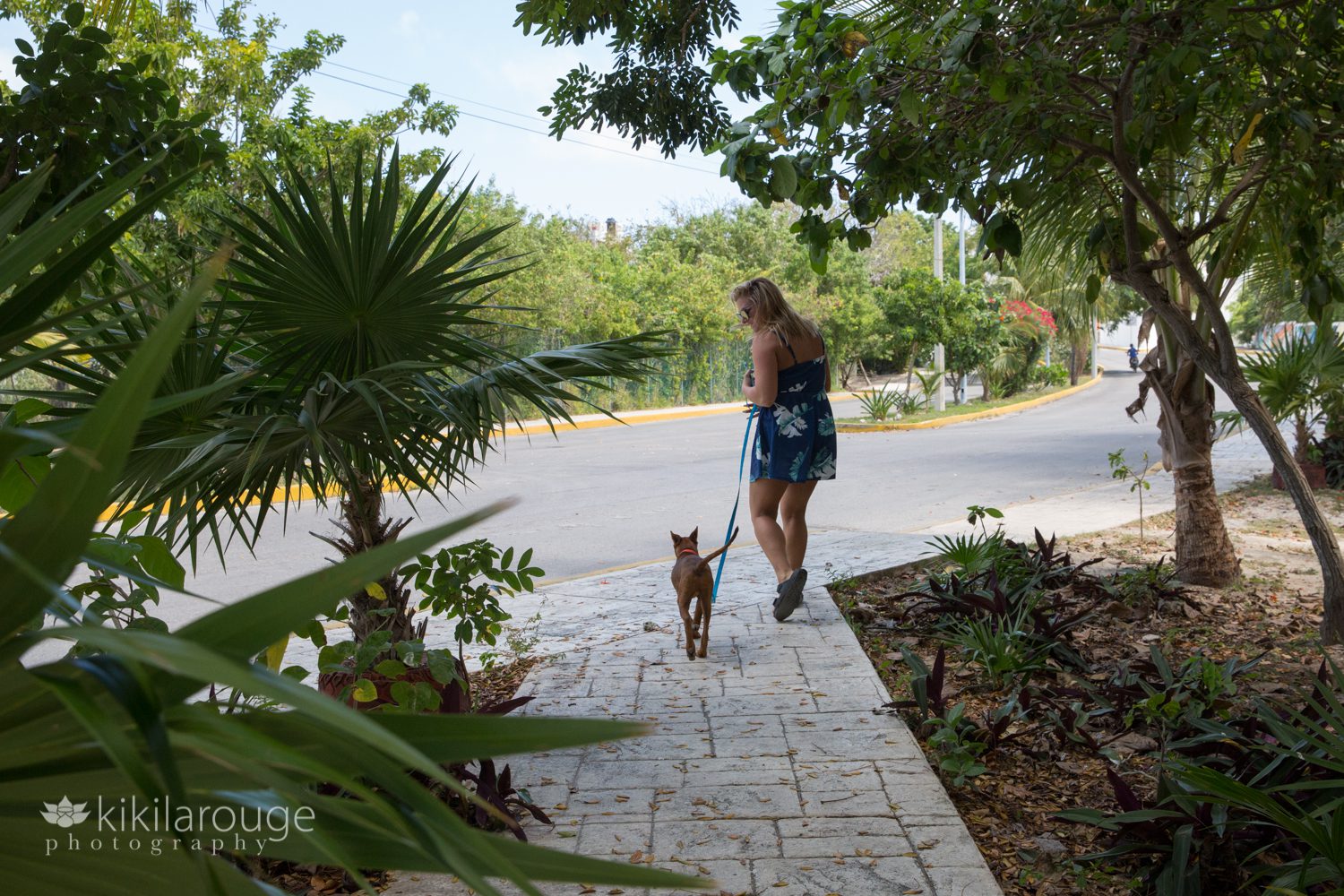 Woman in blue dress walking small rescue dog in tropical setting